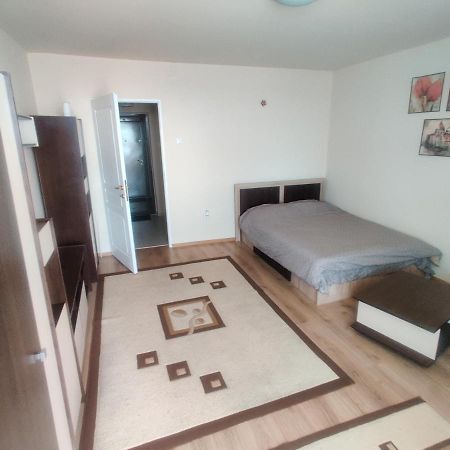 Eric'S Cozy Apartment Timisoara Esterno foto
