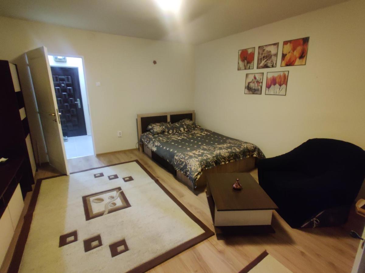 Eric'S Cozy Apartment Timisoara Esterno foto